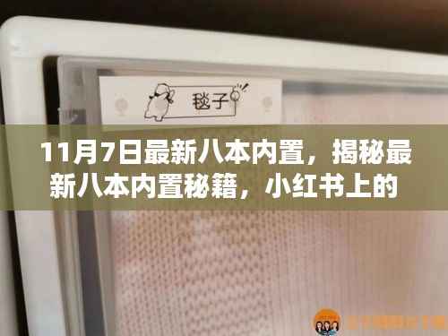 揭秘最新八本内置秘籍,小红书上的秘密宝藏探索之旅
