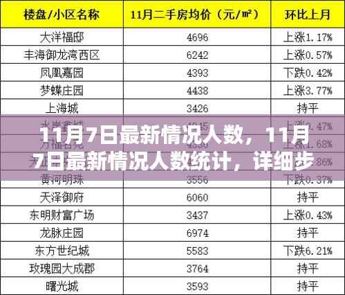 11月7日最新人数统计情况及详细步骤指南