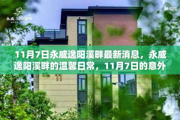 永威逸阳溪畔11月7日惊喜揭秘，温馨日常与意外之喜