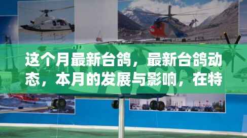 本月最新台鸽动态,崭露头角的发展与特定领域影响