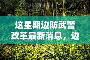 边防武警改革深度解析,最新动态、特性体验、竞品对比与用户群体分析