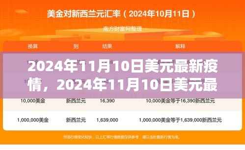 2024年11月10日美元最新疫情分析与观察