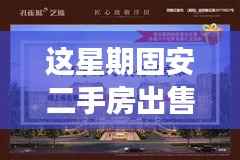 掌握未来从固安二手房出发，最新出售信息，变化中的学习与自信魔力探索