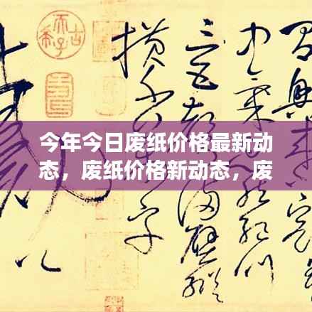 今年废纸价格动态更新,探寻内心宁静与自然的微笑之旅