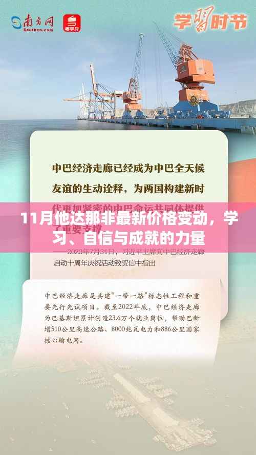 11月他达那非最新价格变动,学习、自信与成就的力量