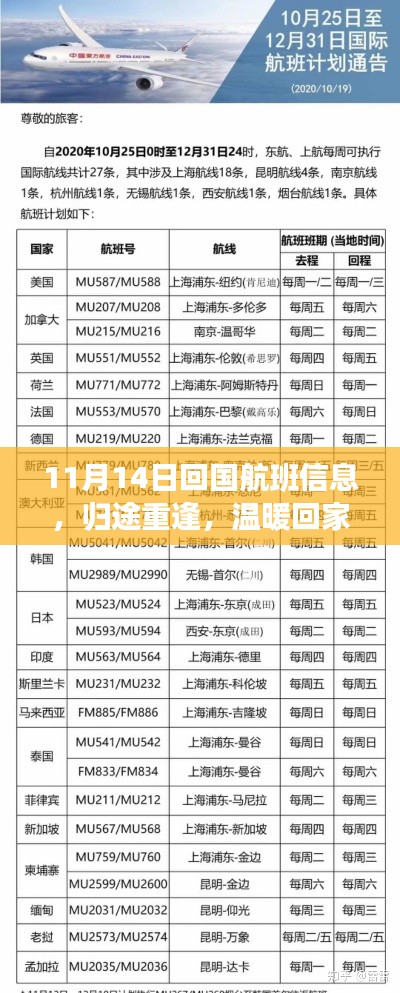11月14日回国航班信息,归途重逢,温暖回家的航班