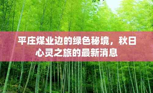 平庄煤业边的绿色秘境,秋日心灵之旅的最新消息