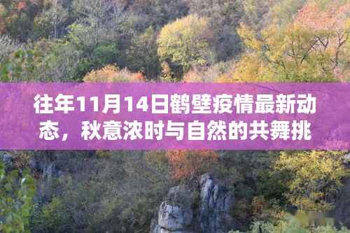 往年11月14日鹤壁疫情最新动态,秋意浓时与自然的共舞挑战