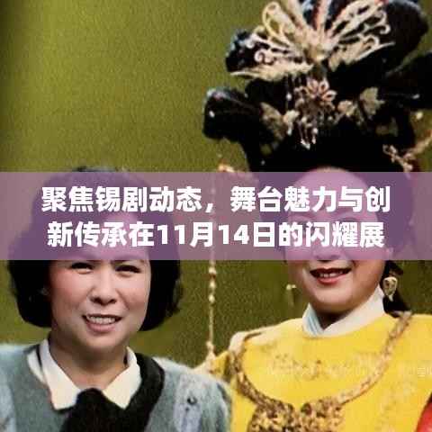 聚焦锡剧动态,舞台魅力与创新传承在11月14日的闪耀展现