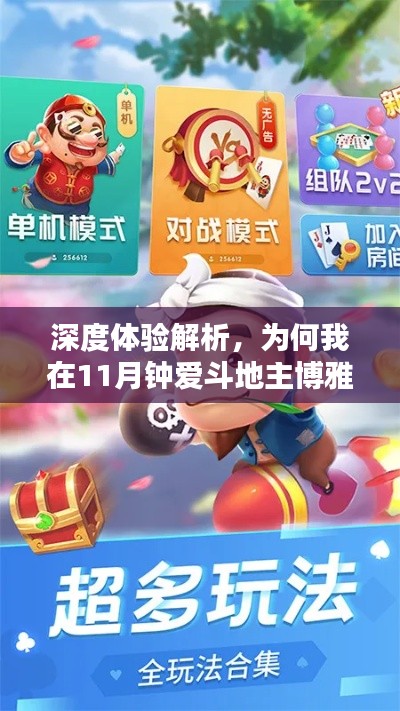 深度体验解析,为何我在11月钟爱斗地主博雅最新版?