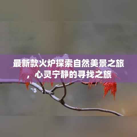 飞珠迸玉 第2页