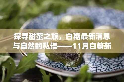 探寻甜蜜之旅,白糖最新消息与自然的私语——11月白糖新风尚揭秘