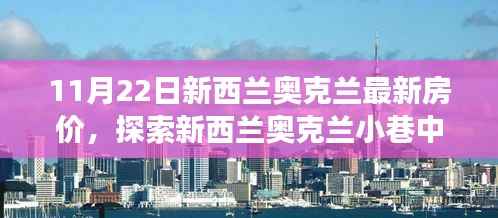 新西兰奥克兰最新房价揭秘,小巷宝藏与独特小店的奇妙故事