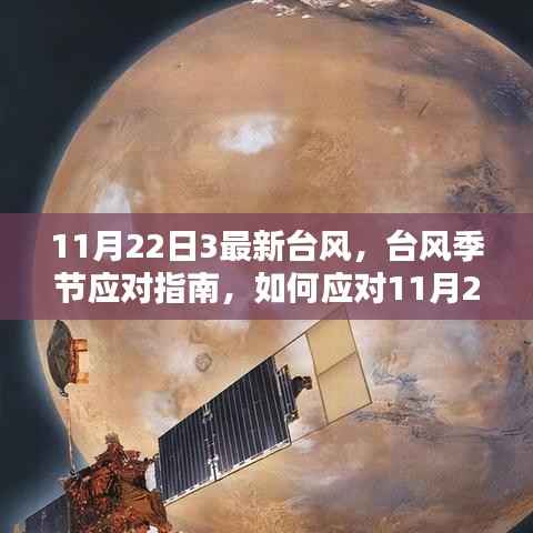 应对指南，如何应对最新台风季节中的台风袭击，特别关注11月22日最新台风动态
