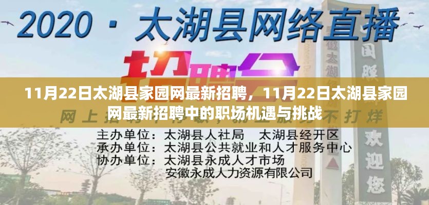 11月22日太湖县家园网最新招聘,职场机遇与挑战一览