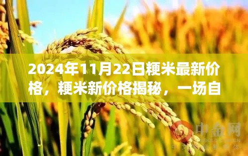 揭秘粳米最新价格,心灵之旅探寻宁静平和的自然美景