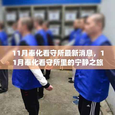 11月奉化看守所,心灵与自然美景的相遇之旅