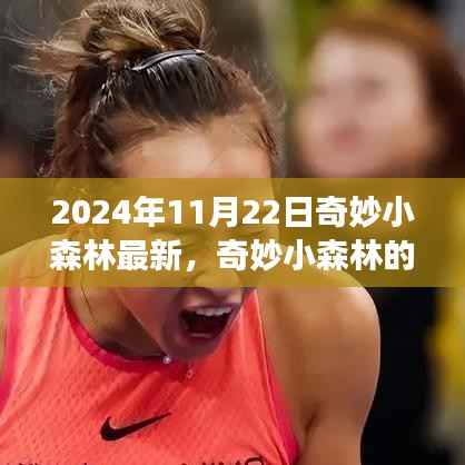 奇妙小森林的日常趣事,秋风起时的暖心陪伴 2024年最新更新