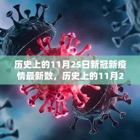 历史上的11月25日新冠新疫情数据解析与应对策略,初学者与进阶用户指南