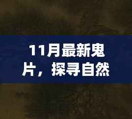 11月最新鬼片探寻秘境之旅，唤醒内心的宁静与微笑