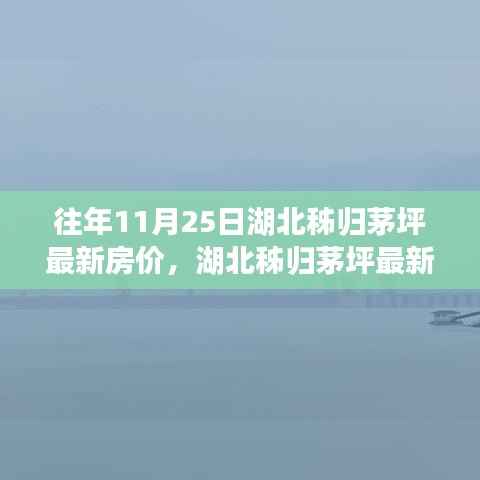 湖北秭归茅坪最新房价测评报告，深度剖析市场态势（往年11月25日）