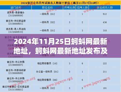 蚵蚪网最新地址解析及功能特点介绍（2024年最新版）