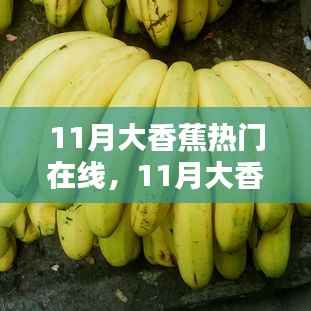 11月大香蕉热门在线,11月大香蕉热门在线,全面评测与介绍