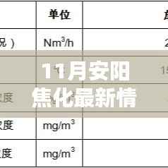 11月安阳焦化奇遇记，温情日常与最新动态