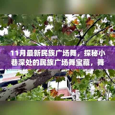 探秘小巷深处的民族广场舞宝藏,舞动十一月的独特风情展演