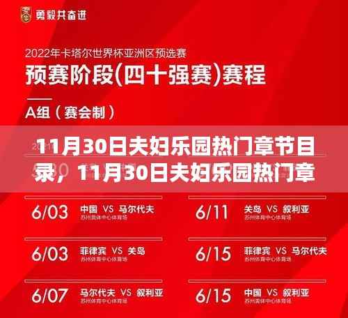 深度解析，11月30日夫妇乐园热门章节及其影响与观点分歧