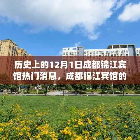 成都锦江宾馆，十二月一日的温馨记忆之旅与历史热门消息回顾