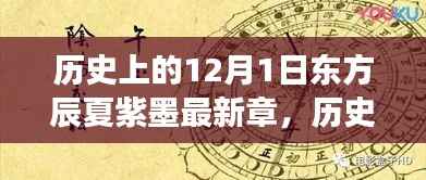 揭秘东方辰夏紫墨最新章节背后的故事,历史上的12月1日揭秘与发布故事深度解析