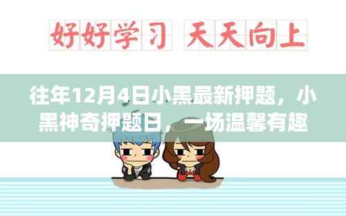 往年12月4日小黑神奇押题日，开启温馨有趣的备考之旅