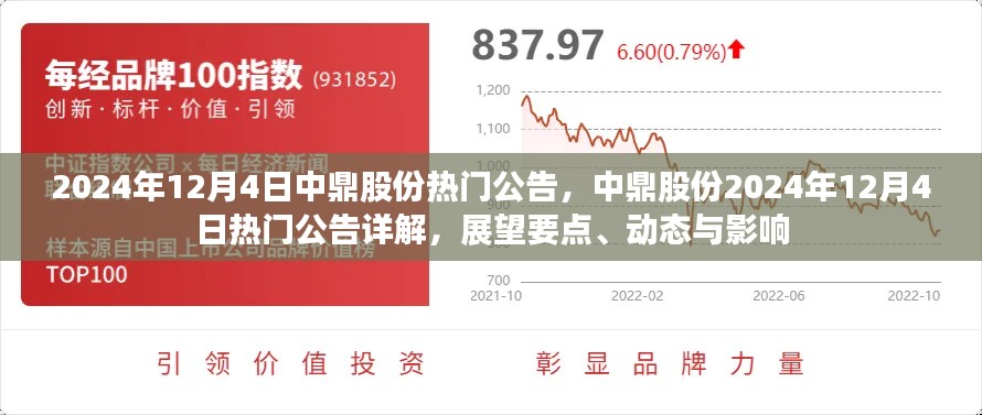 中鼎股份2024年12月4日热门公告详解,展望要点、动态与影响分析