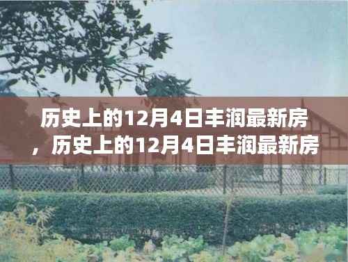 历史上的12月4日丰润最新房产发展深度解析及其影响
