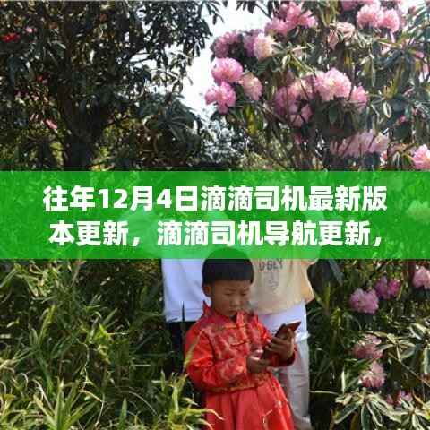 滴滴司机导航更新,与自然美景相遇的宁静之旅