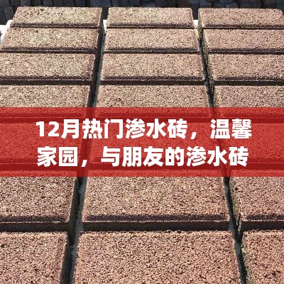 温馨家园与朋友的渗水砖奇遇,揭秘12月热门渗水砖的秘密