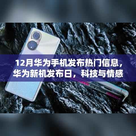 华为新机发布日,科技与情感的温馨交融,12月热门手机信息揭晓