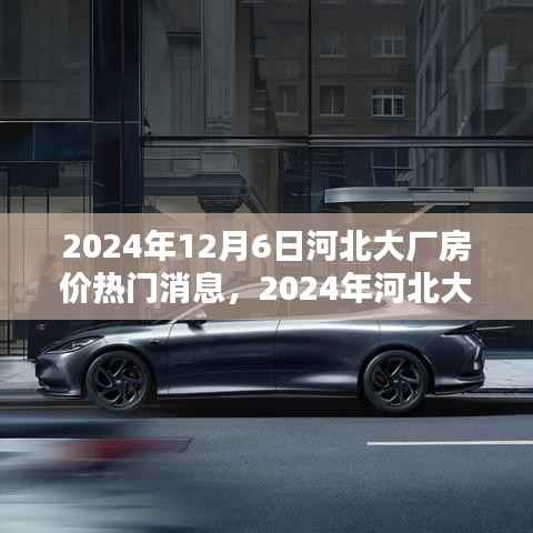 2024年12月6日河北大厂房价热门消息,2024年河北大厂房价走势揭秘,热门消息一网打尽