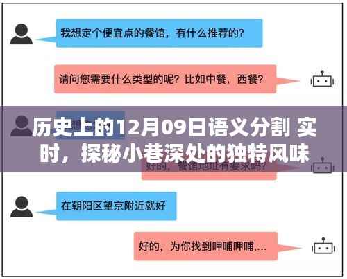 探秘历史褶皱中的特色小店,12月09日实时语义分割之旅,小巷深处的独特风味
