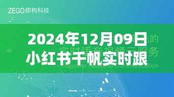 小红书千帆实时跟播体验评测报告,深度体验与报告分享(附日期)