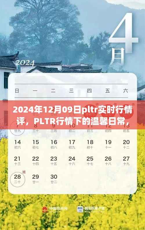 PLTR行情下的温馨日常与奇妙冒险,2024年12月09日实时行情评析