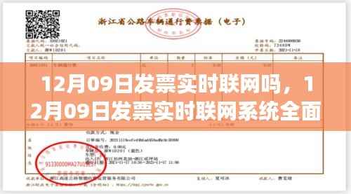 12月09日发票实时联网系统全面介绍与评测,联网实时性探讨