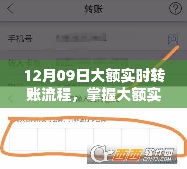 12月09日大额实时转账操作指南与流程解析
