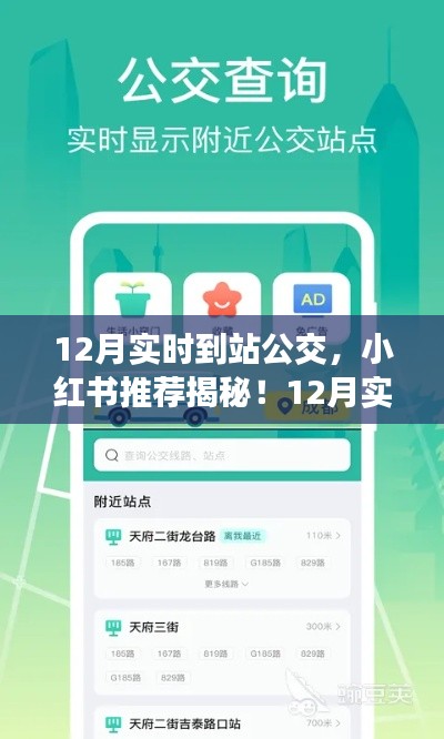 小红书推荐揭秘，12月实时到站公交攻略，轻松出行必备！