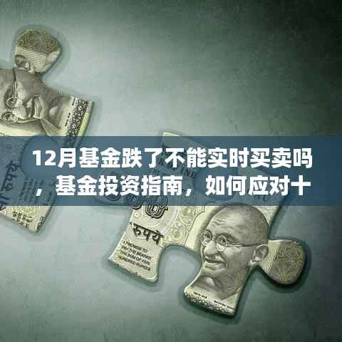 应对基金下跌与无法实时买卖的困境，十二月基金投资指南