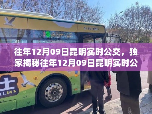 独家揭秘,往年12月09日昆明实时公交实况,公交出行新风尚体验指南