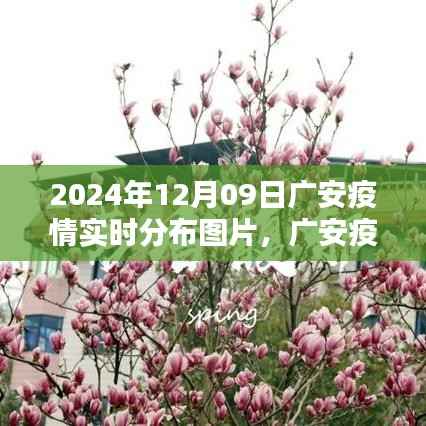 重塑防疫新纪元,广安智能疫情实时分布图助力精准防控