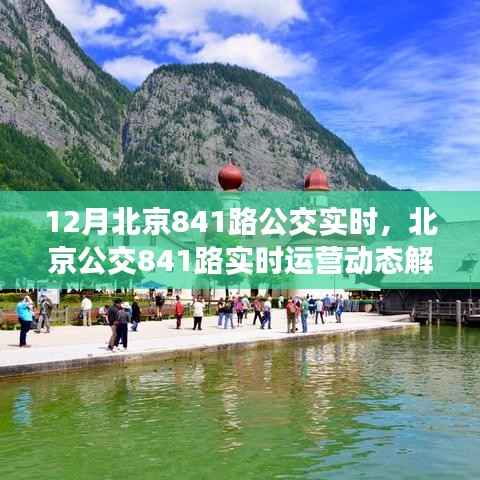 北京公交841路实时运营动态解析，十二月运营详解