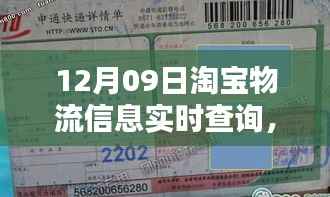 淘宝物流新发现,实时追踪小巷宝藏小店的物流魅力(12月09日实时查询)